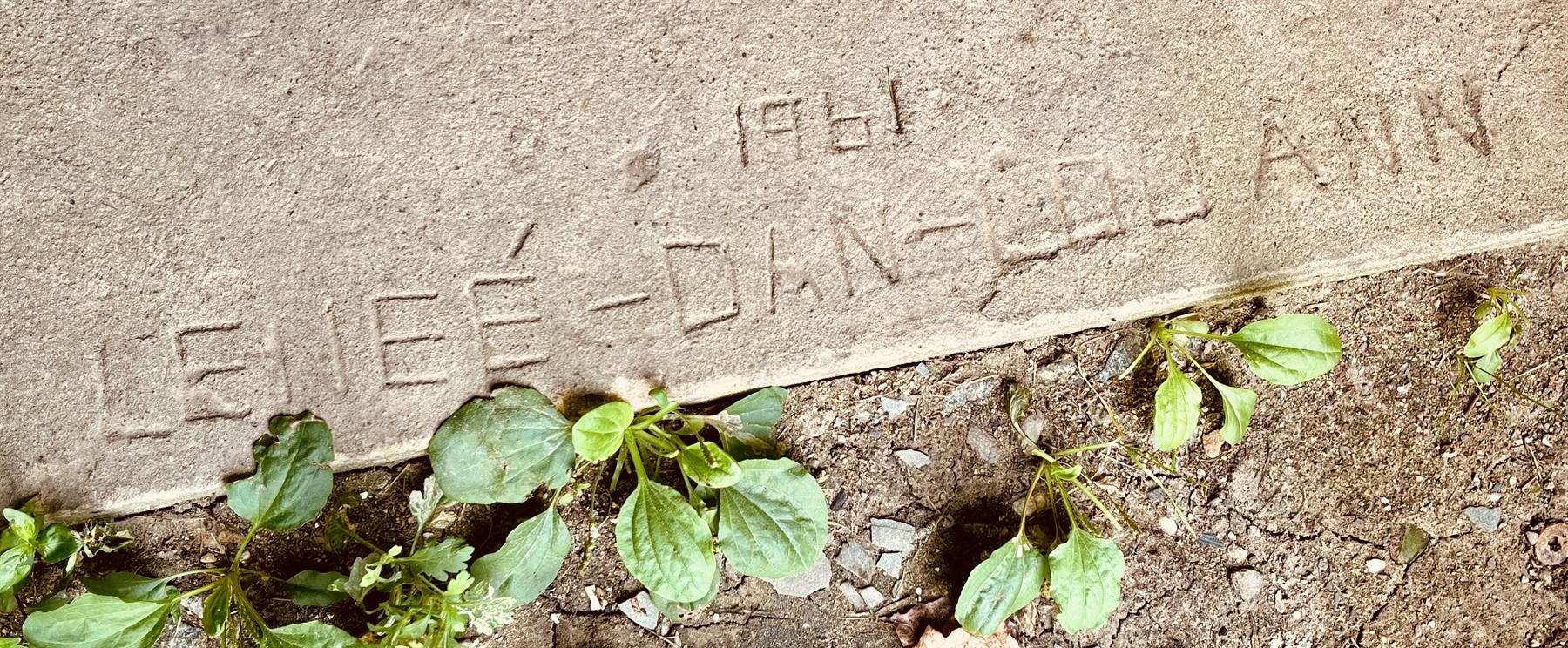Names carved into a concrete step: the year 1961 above, and below it LENEE, DAN and LOU ANN, with plantain growing along the step's edge.
