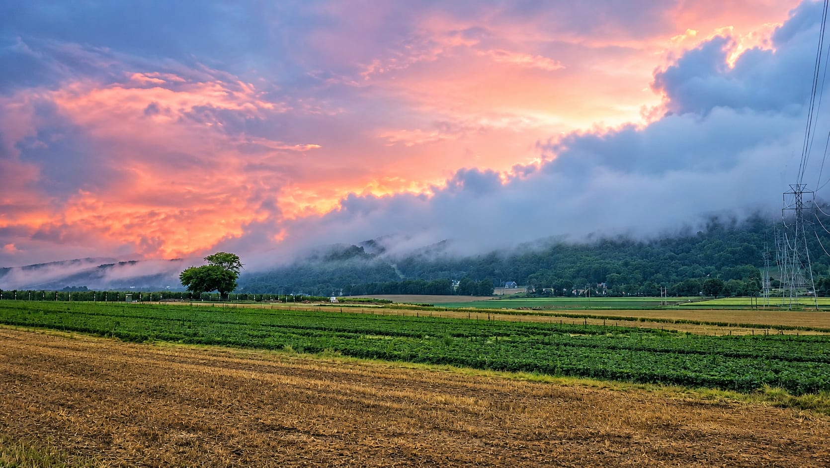 Sunset over rolling farmland and the ridgeline of northwest New Jersey, the sky glowing orange and gold above a darkening tree line.