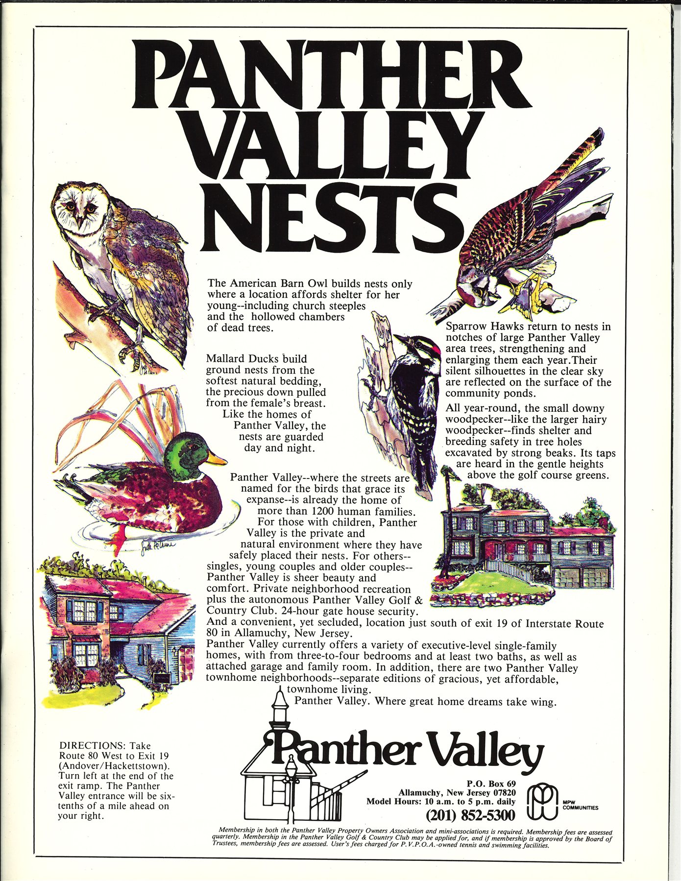 A Panther Valley brochure page titled Panther Valley Nests, illustrated with a barn owl, mallard duck, woodpecker and sparrow hawk around text about streets named for birds.